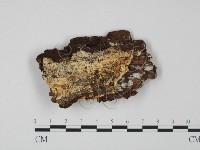 登錄號:F0009631藏品圖，第1張