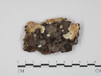 登錄號:F0009631藏品圖，第3張