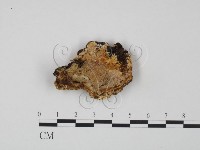 登錄號:F0009632藏品圖，第1張