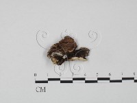 登錄號:F0009633藏品圖，第1張