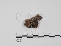 登錄號:F0009633藏品圖，第3張