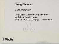 登錄號:F0009636藏品圖，第2張