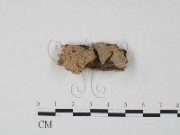 登錄號:F0009636藏品圖，第1張