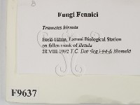 登錄號:F0009637藏品圖，第2張