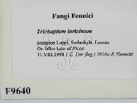 登錄號:F0009640藏品圖，第2張