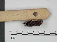 登錄號:F0009640藏品圖，第3張