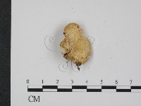 登錄號:F0009641藏品圖，第3張