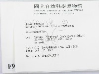 登錄號:F0009643藏品圖，第2張