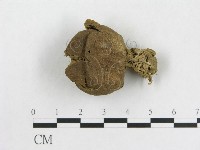 登錄號:F0009643藏品圖，第1張