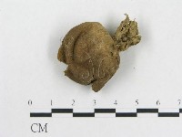 登錄號:F0009643藏品圖，第3張