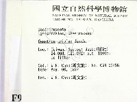 登錄號:F0009644藏品圖，第2張