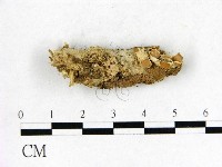 登錄號:F0009645藏品圖，第1張