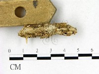 登錄號:F0009645藏品圖，第3張