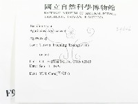 傘菌屬藏品圖，第2張