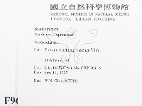 登錄號:F0009647藏品圖，第2張