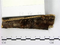 登錄號:F0009649藏品圖，第3張