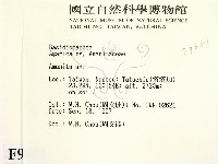 鵝膏屬藏品圖，第2張