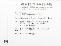 登錄號:F0009653藏品圖，第2張