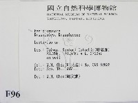 乳菇屬藏品圖，第2張