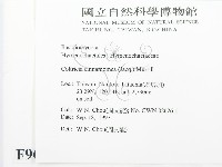 登錄號:F0009656藏品圖，第2張