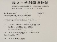 登錄號:F0009658藏品圖，第2張