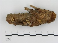 登錄號:F0009658藏品圖，第1張