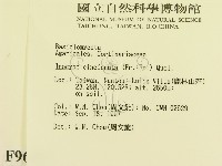 登錄號:F0009659藏品圖，第2張