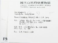 登錄號:F0009660藏品圖，第2張