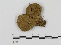 登錄號:F0009661藏品圖，第1張