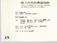 登錄號:F0009663藏品圖，第2張