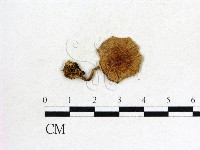 登錄號:F0009663藏品圖，第1張