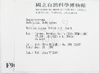 登錄號:F0009667藏品圖，第2張