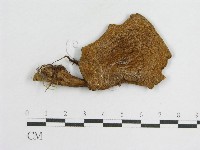 登錄號:F0009667藏品圖，第5張