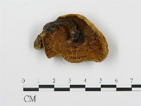 登錄號:F0009668藏品圖，第1張