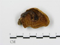 登錄號:F0009668藏品圖，第4張