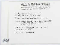 登錄號:F0009670藏品圖，第2張