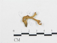 登錄號:F0009670藏品圖，第1張