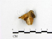 登錄號:F0009671藏品圖，第1張