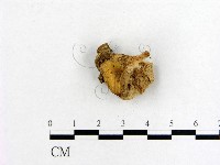 登錄號:F0009671藏品圖，第3張