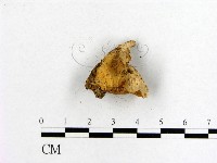 登錄號:F0009671藏品圖，第4張