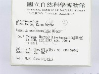登錄號:F0009672藏品圖，第2張