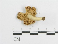 登錄號:F0009672藏品圖，第3張
