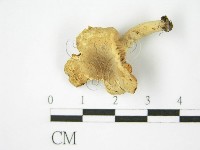 登錄號:F0009672藏品圖，第4張