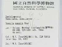 登錄號:F0009674藏品圖，第2張