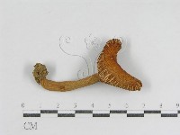 登錄號:F0009674藏品圖，第3張