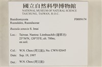 登錄號:F0009674藏品圖，第6張