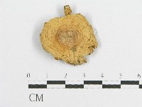 登錄號:F0009676藏品圖，第3張