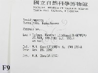 紅菇屬藏品圖，第2張