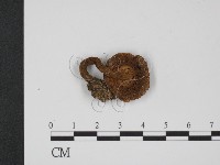 登錄號:F0009678藏品圖，第3張