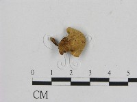 登錄號:F0009679藏品圖，第1張